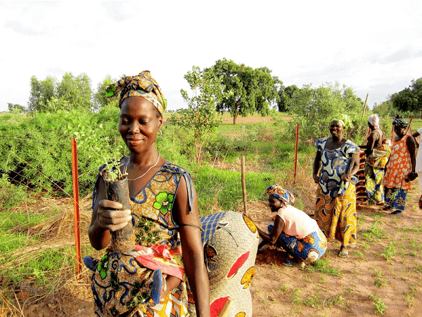 Our Tree Planting Projects