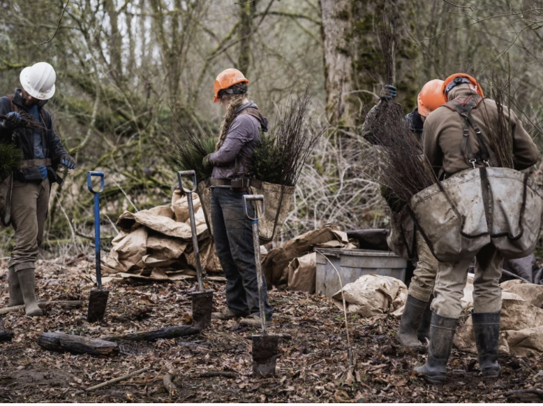 appalachia-tree-planting