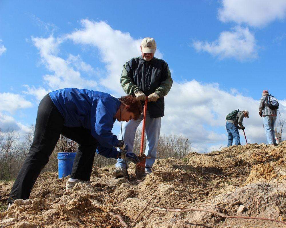 appalachia-tree-planting