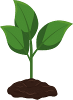 Carbon offset company tree