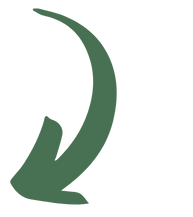 Carbon offset company