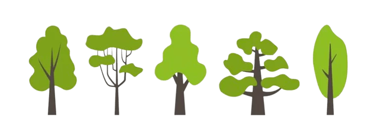 carbon offset tree planting