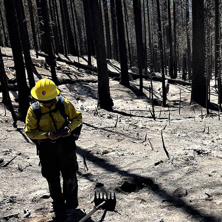 Yosemite wildfire damage