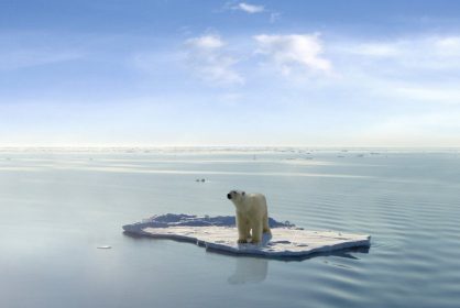 Carbon offset company